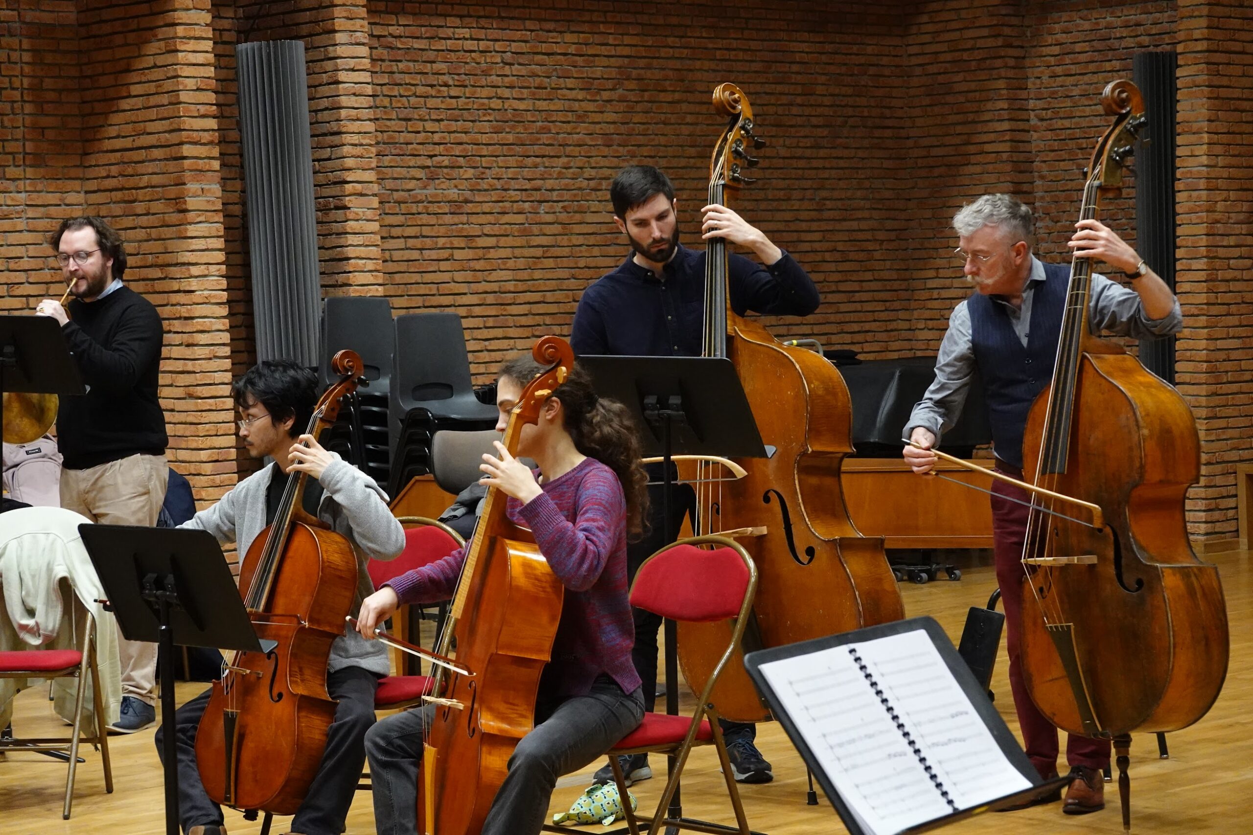 Violone & contrebasse